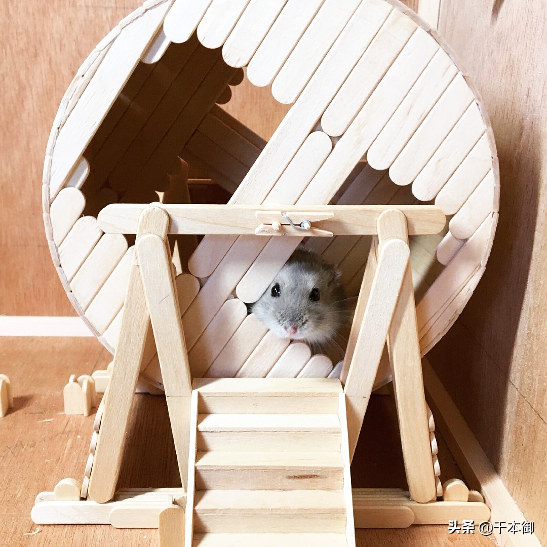 国外牛人3d打印摩托车,最好的3d打印摩托车