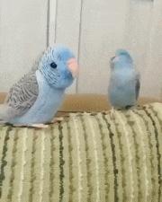 只能亮度调亮才能看得懂的梗,调高亮度才能看懂的梗