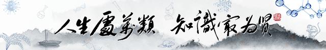 kras突变肺腺癌治疗方案,kras基因突变的靶向药与免疫治疗