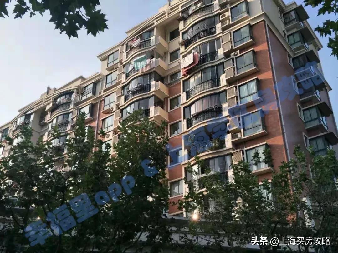 全市稀缺的优质公立双学区！被低估的北区王者！闸北实验小学测评