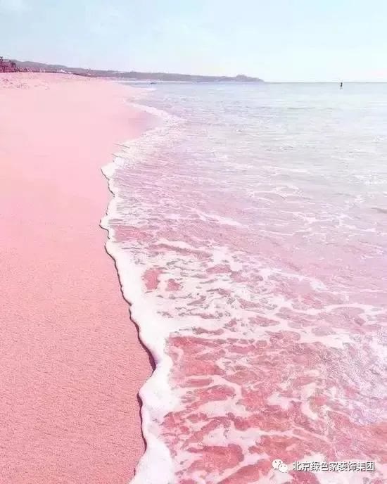 绿色家装饰：实用干货，这些家居冷知识你知道几个？