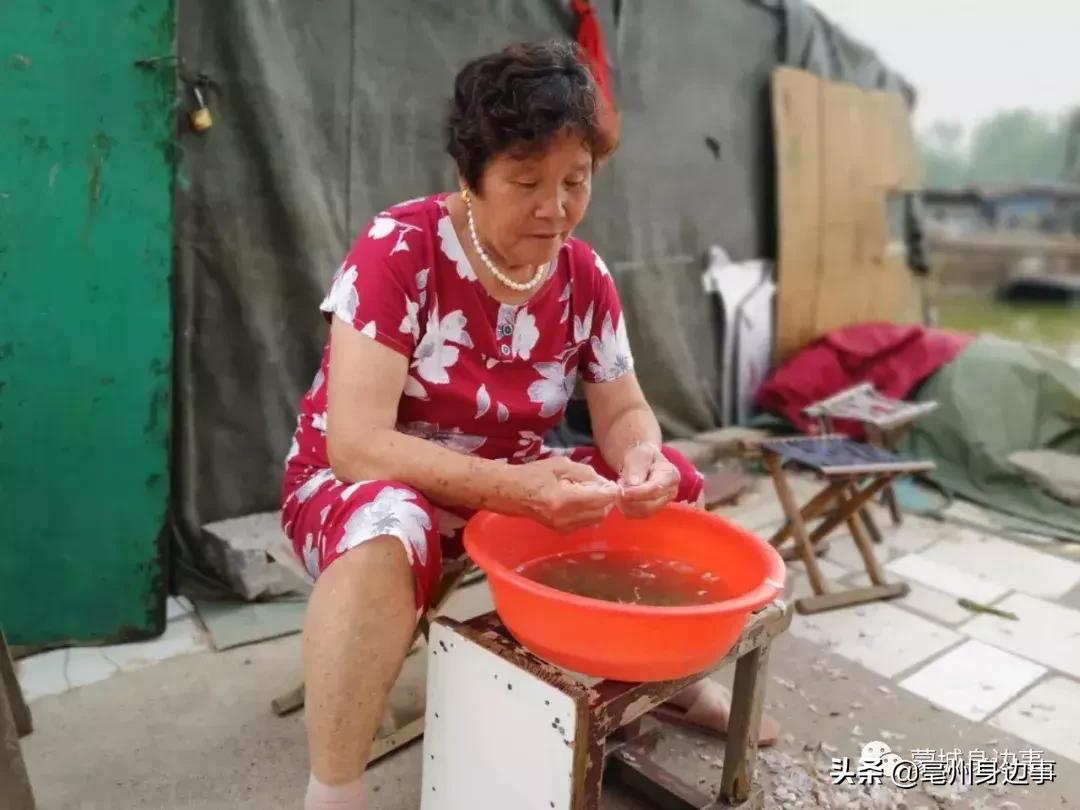 蒙城：一船一家一辈子！他们吃住都在船上