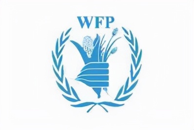 国际组织旗帜标志一览,象征世界和平的国际组织旗帜