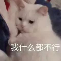 19万人看男生玩编织？从非洲弃婴到全美偶像，11岁男孩用6年逆袭人生...