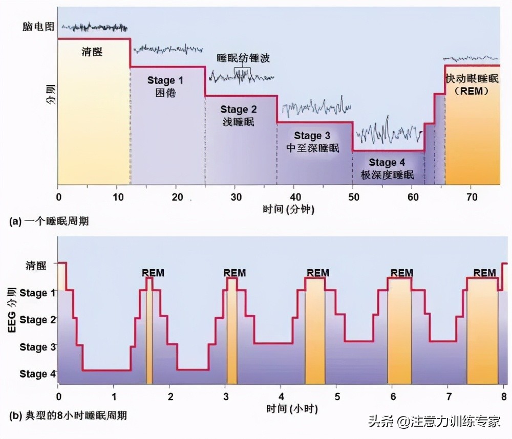 孩子上课昏昏沉沉，精神状态差？提升回忆效果，孩子学习状态佳