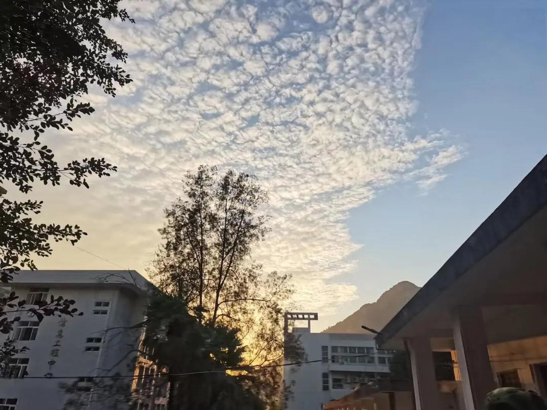 福建师大福清分校,师大福清分校