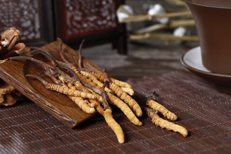 冬虫夏草与别的药物有冲突吗,冬虫夏草跟虫有什么瓜葛