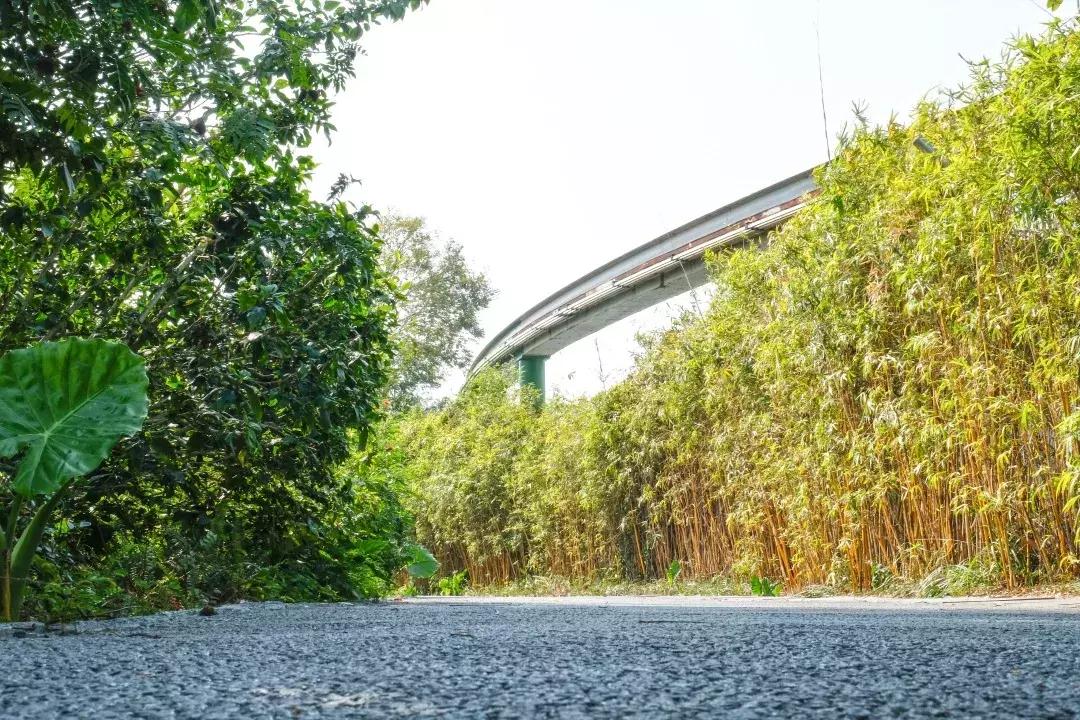 深圳世界之窗充满回忆,深圳世界之窗景点大全