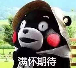 七星岩北门有什么景点,七星岩北门广场