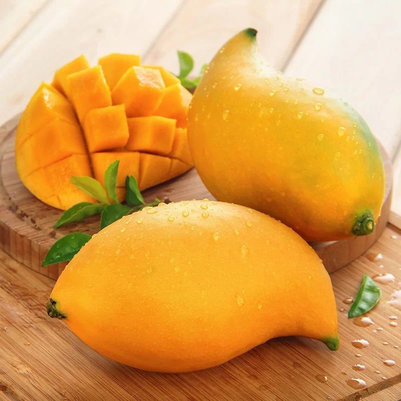 台农芒果怎么分公母,芒果公母哪个好吃