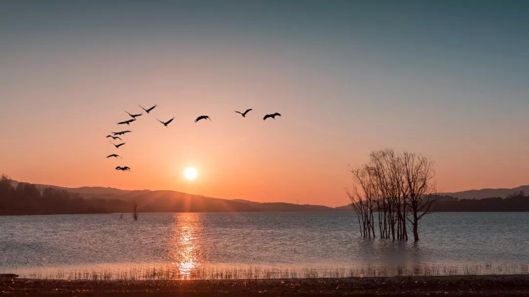 10个合适一个人去的小众旅行地,人少景美的小众旅行地夏季