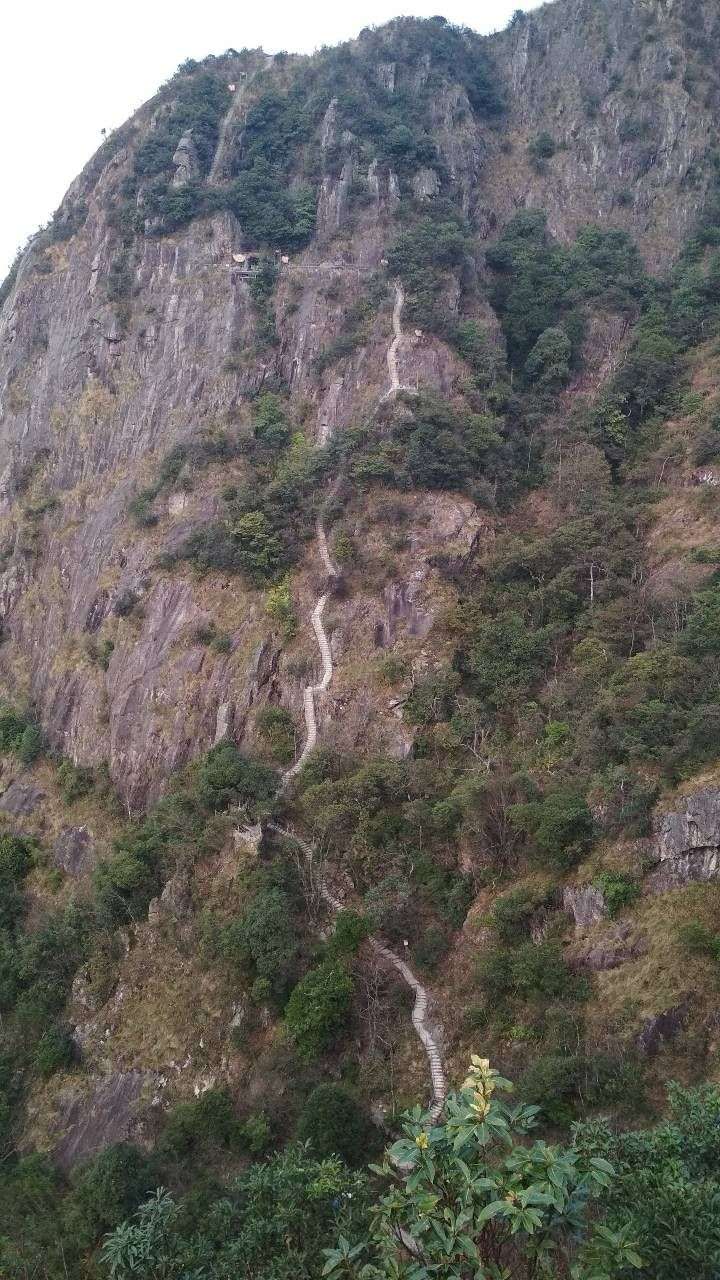 重庆小伙带29岁寡妇隐居深山50年,29岁寡妇跟19岁小伙私奔隐居深山