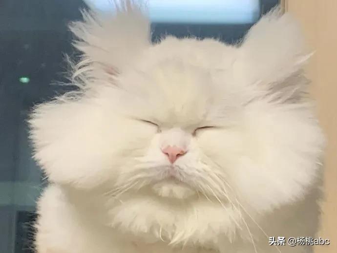 Letsgo!｜这个地方竟然这么多综艺节目抢着去？
