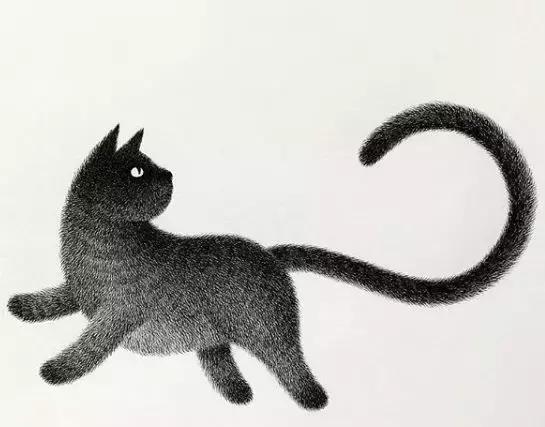 她用2元针管笔作画便惊艳了世界,他用粉笔画了一只猫
