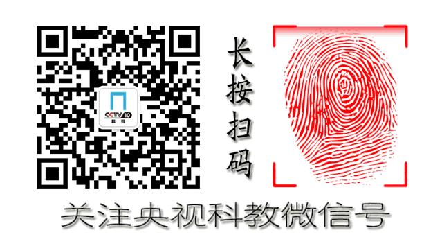 背包肩带反了怎么办,背包肩带老是松怎么办