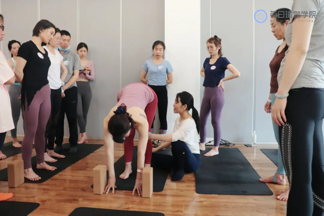 七个最好的瑜伽体式你练对了吗,初学者必练四个瑜伽体式