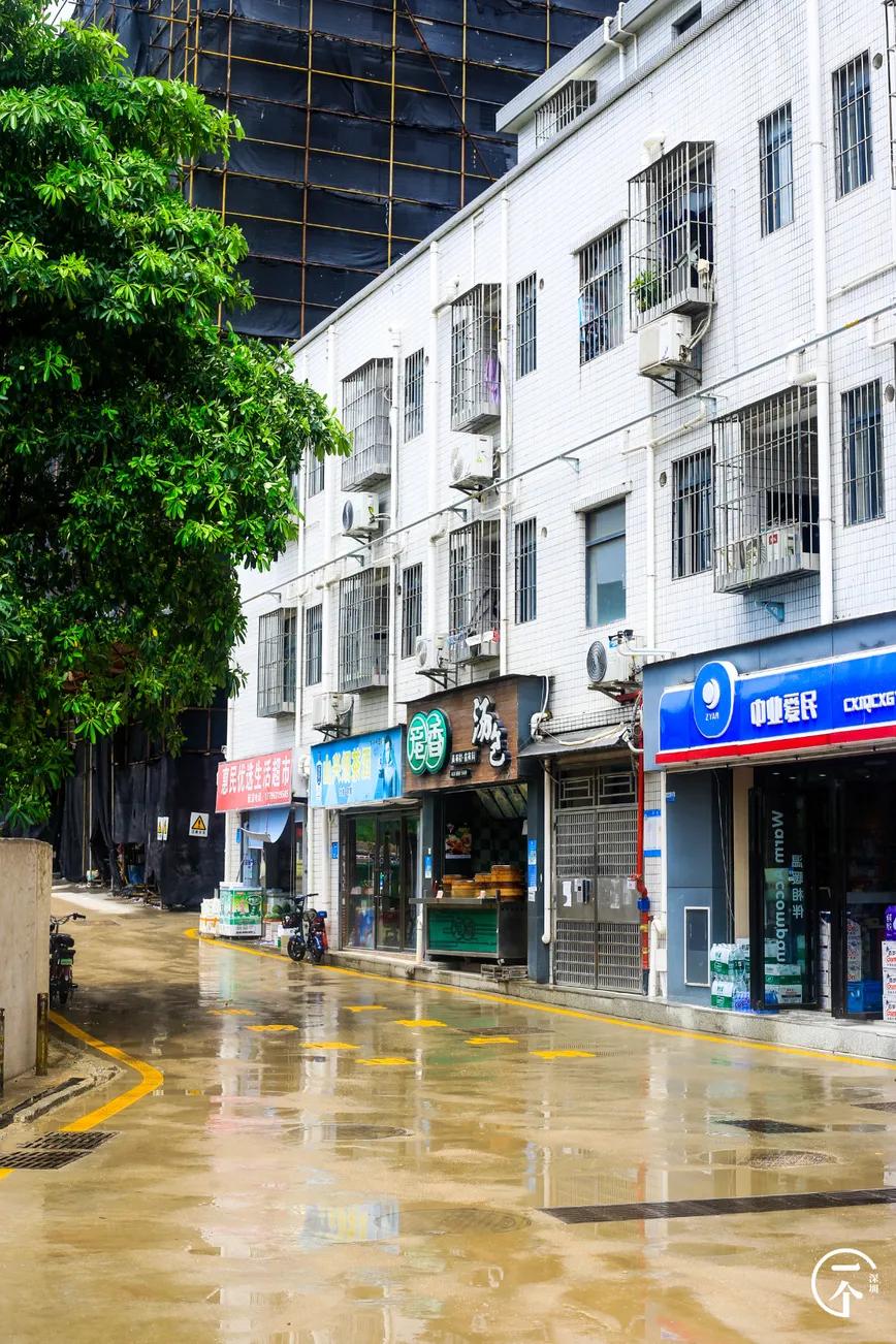 为啥珠光村房租便宜,深圳西丽珠光村房租如何