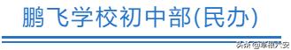 六安各个学区划分图,六安学区划分最新方案