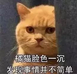 支付宝密码被锁住了会自动解锁吗,手机设置了密码为什么还是能打开