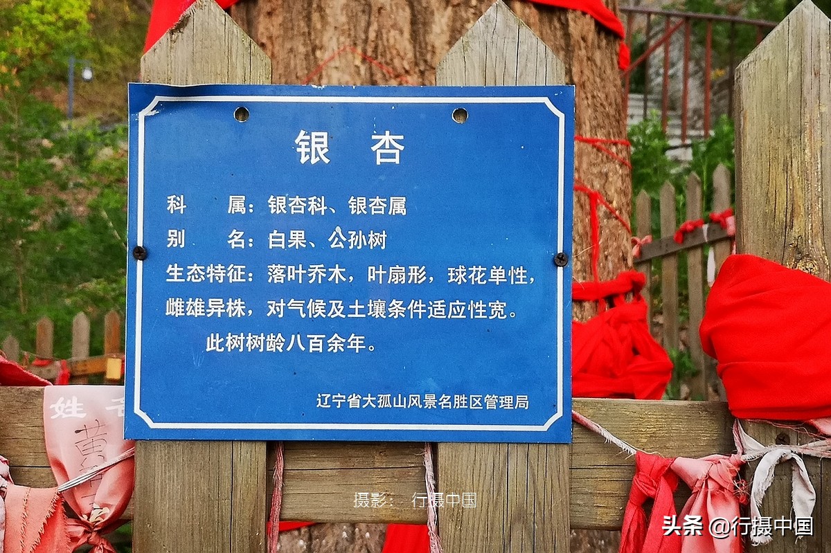 辽宁一座被遗忘的地方,辽宁沈阳东北第一城