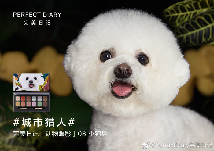 李佳琦的狗怎么火的,李佳琦的狗never