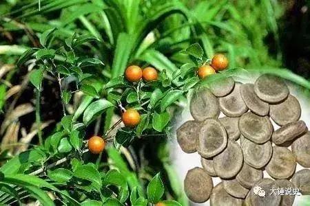 伤湿止痛膏长期贴有什么副功能,贴了伤湿止痛膏过敏怎么办