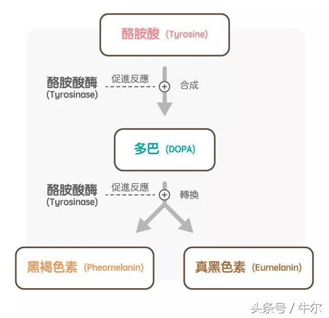 遗传斑祛斑最有效方法,斑怎么祛除最快最有效