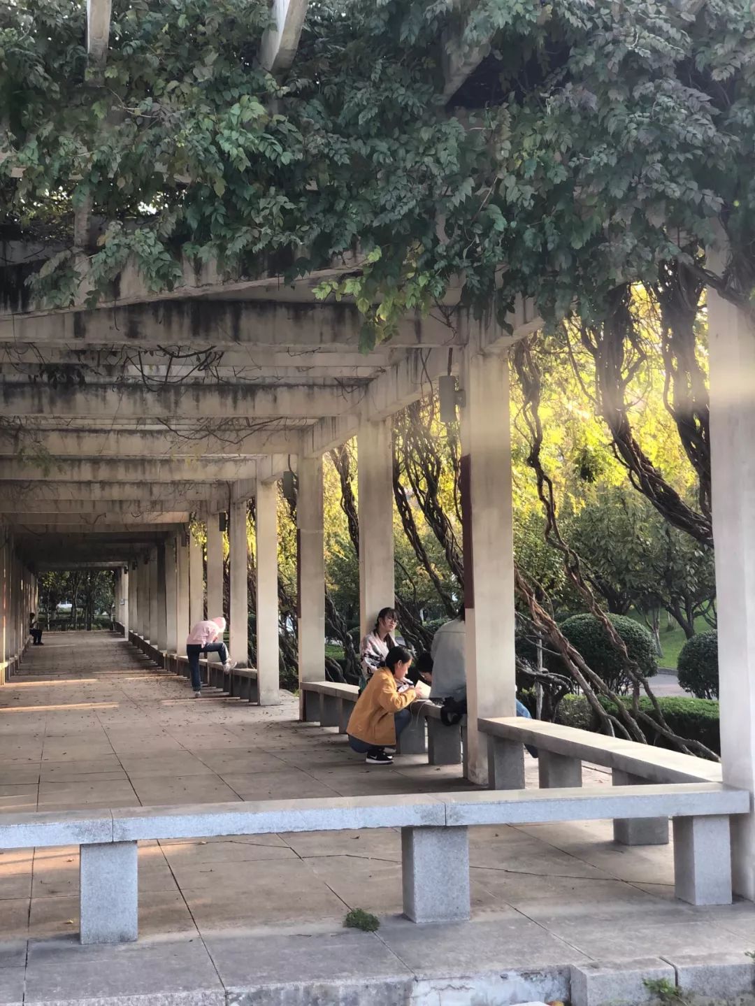 西安三大巨头,西安三巨头学校