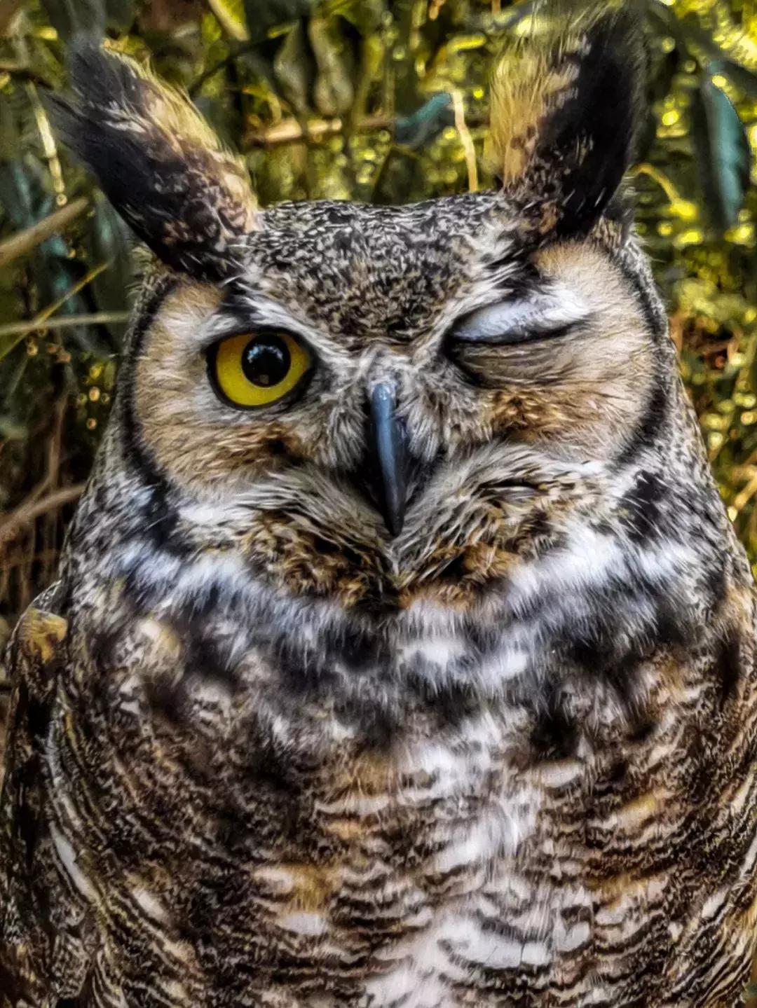 华为p30的镜头模组叫什么,华为p30镜头是蓝宝石的吗