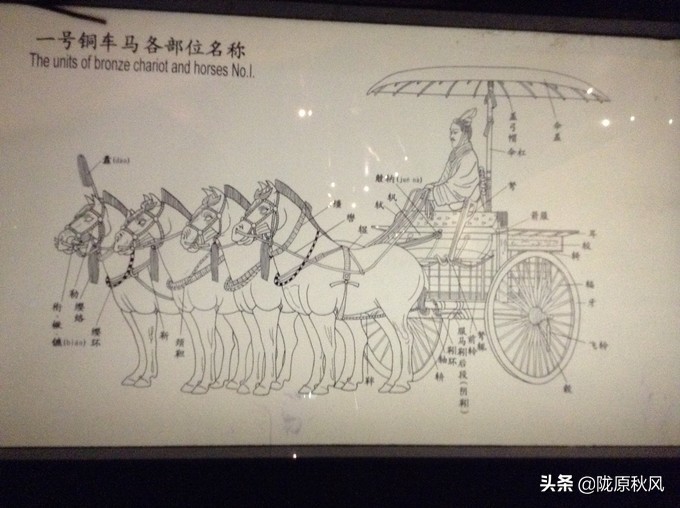 西安兵马俑和大唐不夜城旅游攻略,古都西安兵马俑与大唐芙蓉园一角