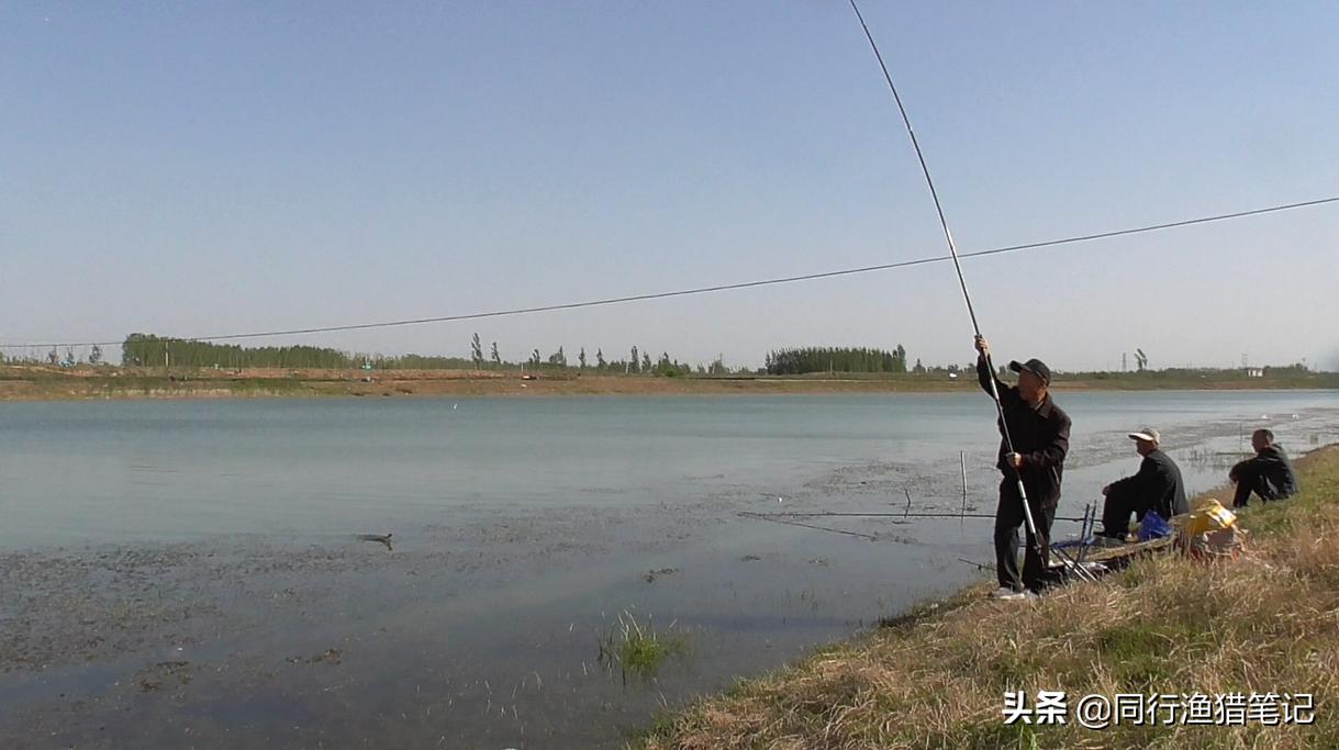 蚯蚓的坚固绑法,蚯蚓挂钩坚固