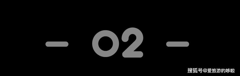 油焖春笋有滋有味,油焖笋的美味教程