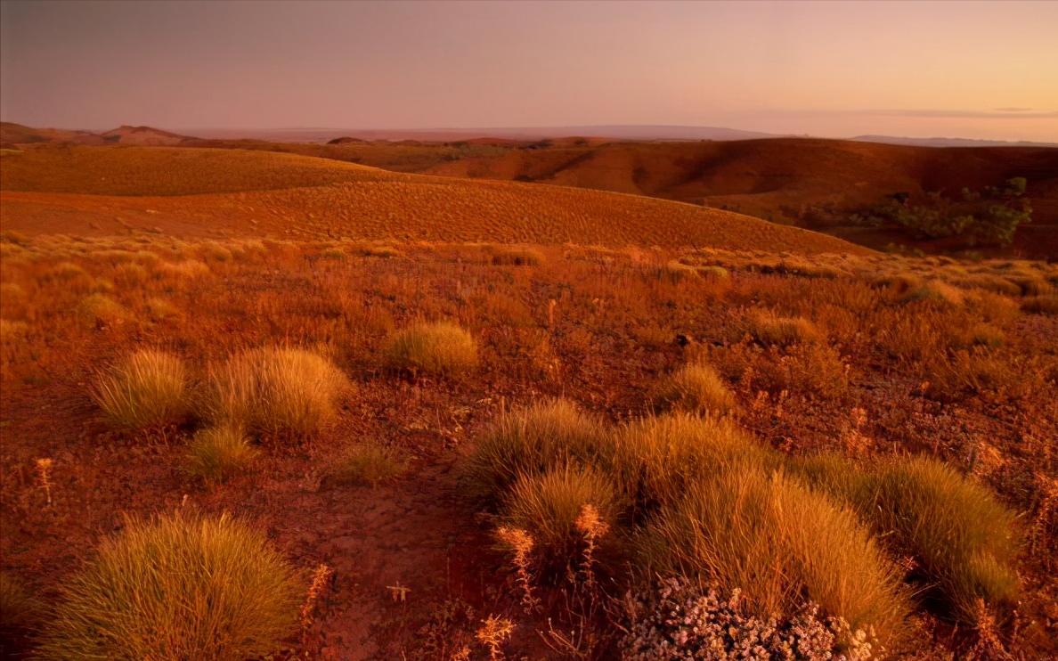五种迹象表明情商高的人,情商高的人看你的五大特征