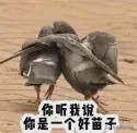 安置房比商品房安静,安置房一定比商品房差吗