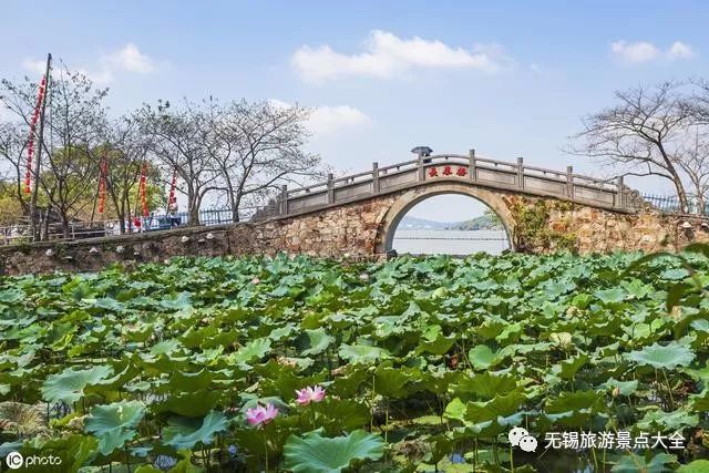 无锡旅游景点最值得去的有哪些,无锡旅游有哪些景点值得去看