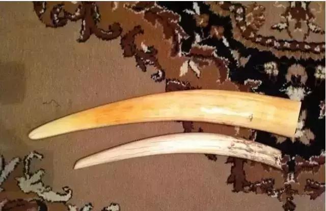 新手推荐的几种文玩,这九种文玩不能碰