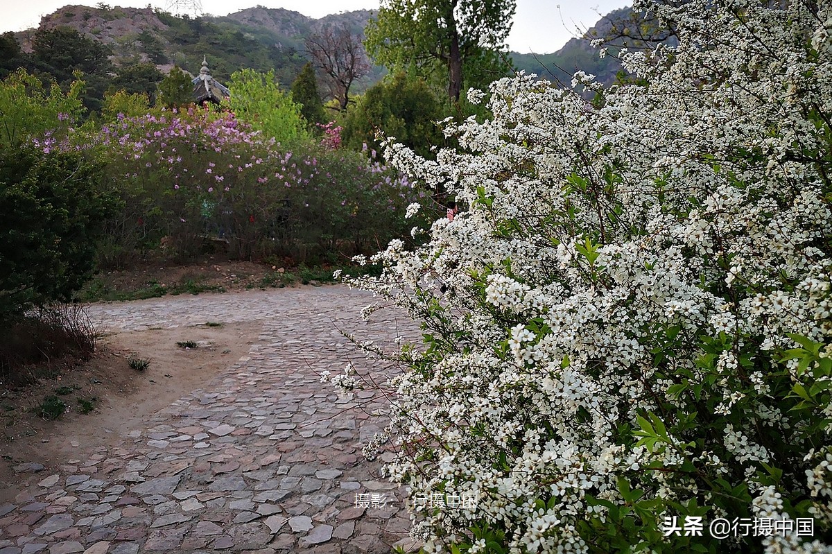 辽宁一座被遗忘的地方,辽宁沈阳东北第一城