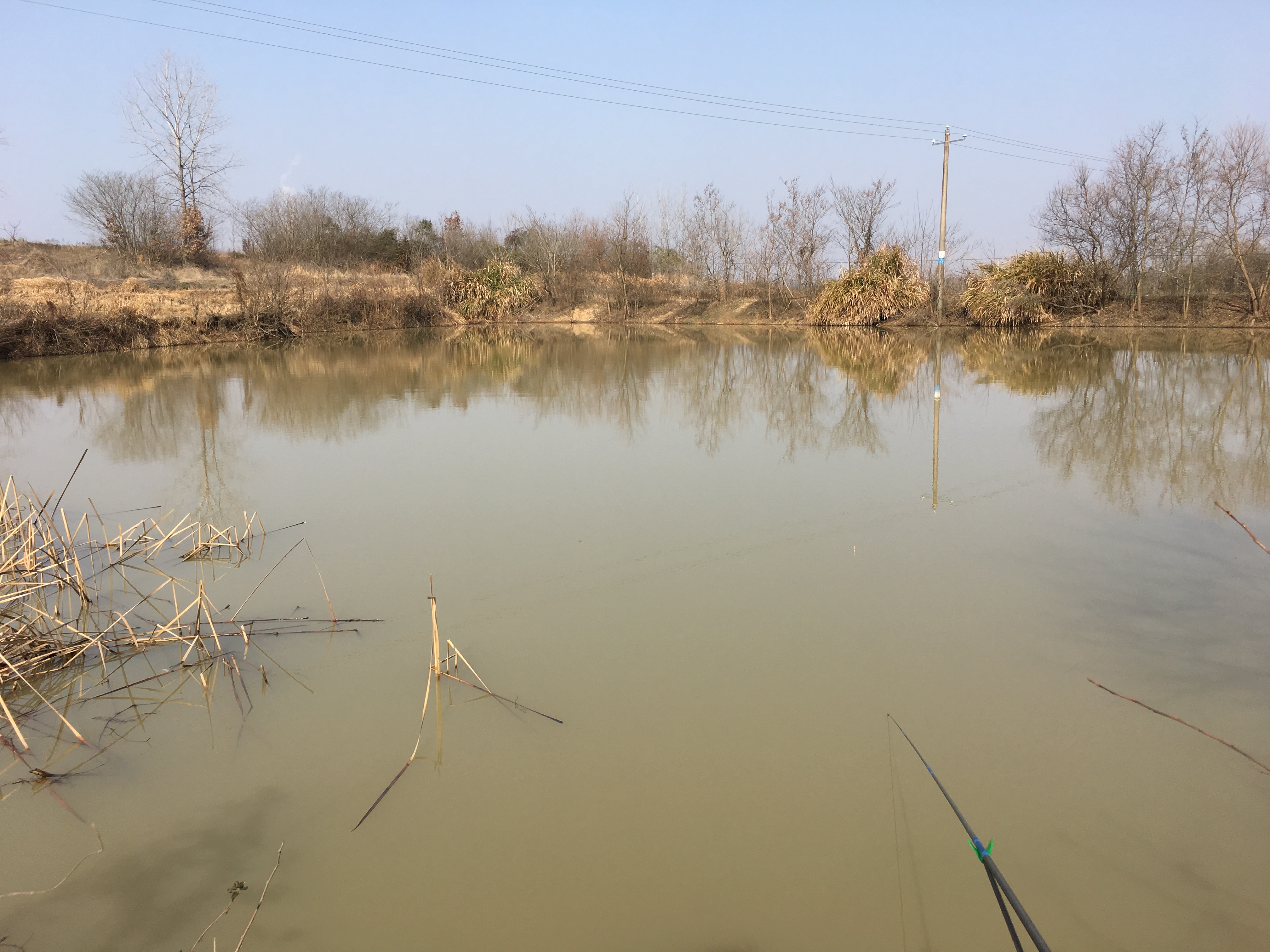 经常钓不到鱼原来是少了这个步骤,冬季晴天10度钓鲤鱼钓深还是钓浅