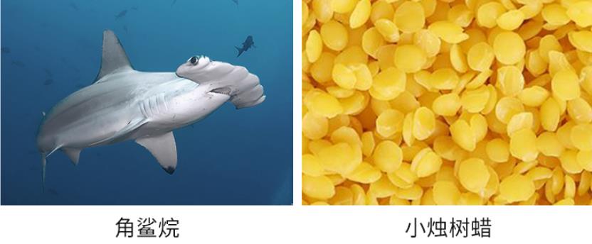 想要睫毛翘起来必须夹吗,想要睫毛长用什么方法