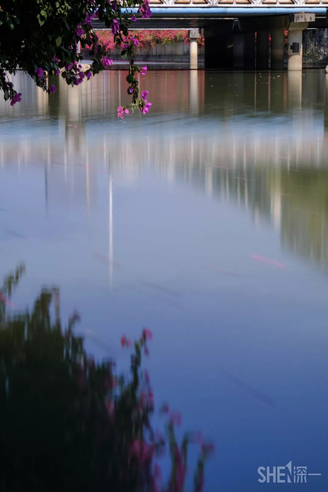 别总去大沙河了！深圳这条极少有人知道的河流，更神秘