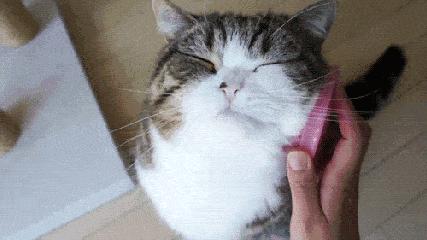 秋冬皮肤干燥用什么护肤品 (冬季比较滋润的护肤品)