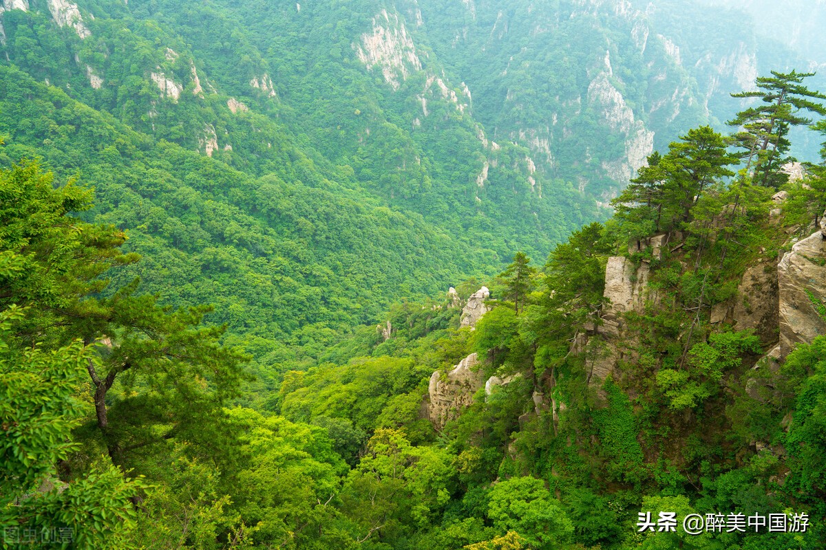 河南5a级旅游景点排名前十,河南合适老人腿脚不方便去的景点