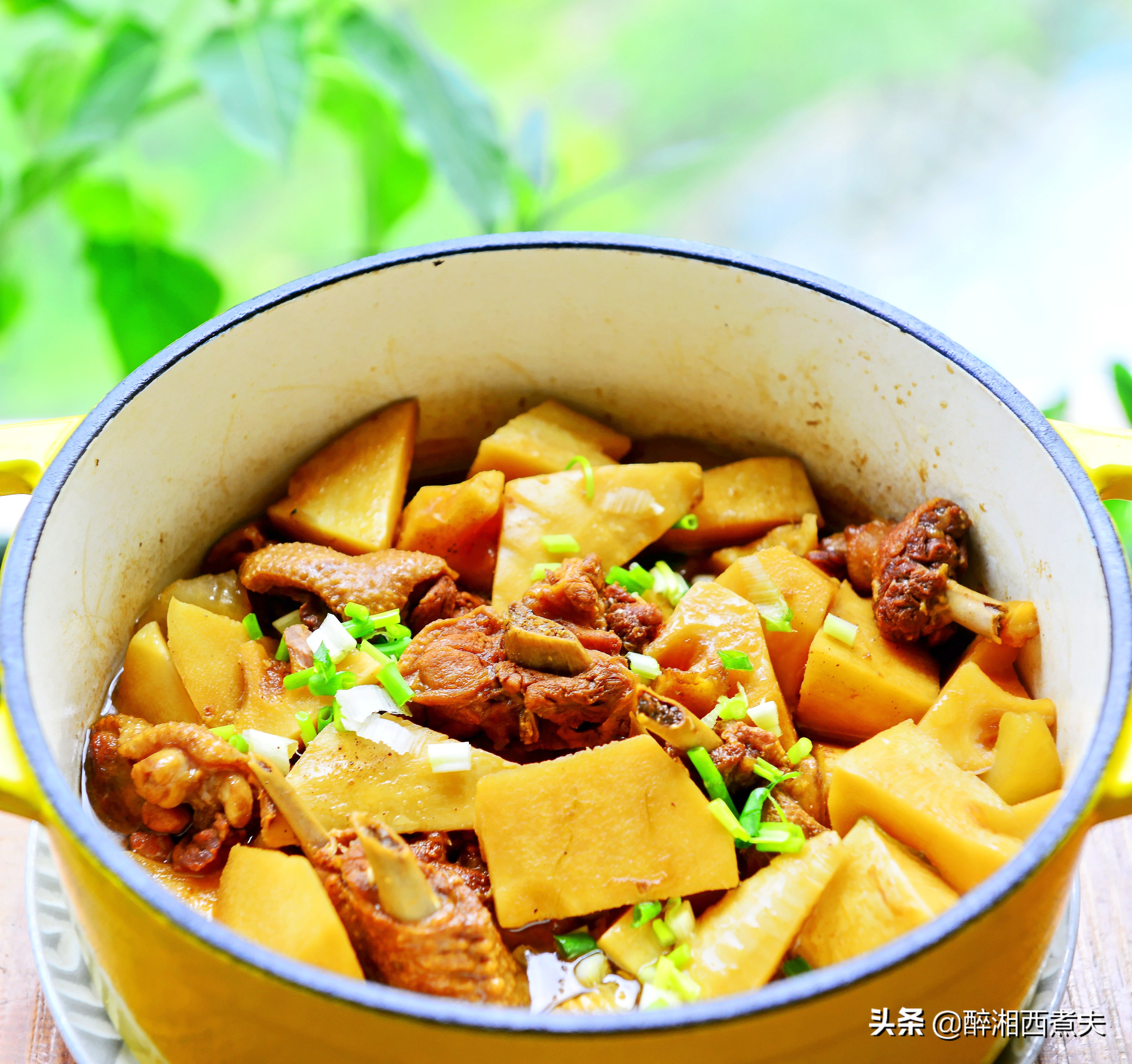 最好的南方竹笋,野生竹笋最好吃的季节