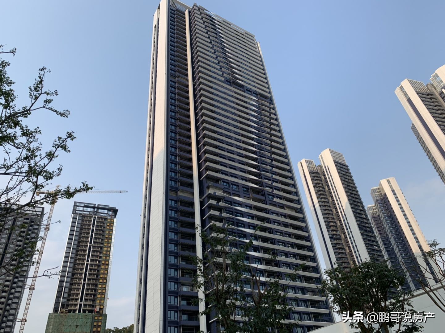 深圳半岛城邦四期最新房价,深圳半岛城邦几期最贵