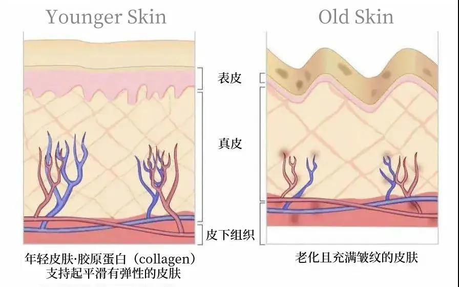 美容仪，能够对抗岁月痕迹？