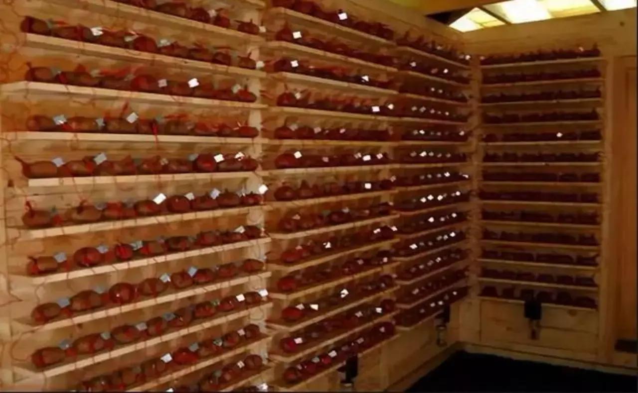 外挂与反外挂一份永不过时的游戏公司考卷