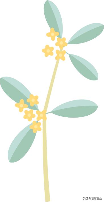 健脾养胃小米苹果山药粥,秋天健脾胃的粥的做法大全