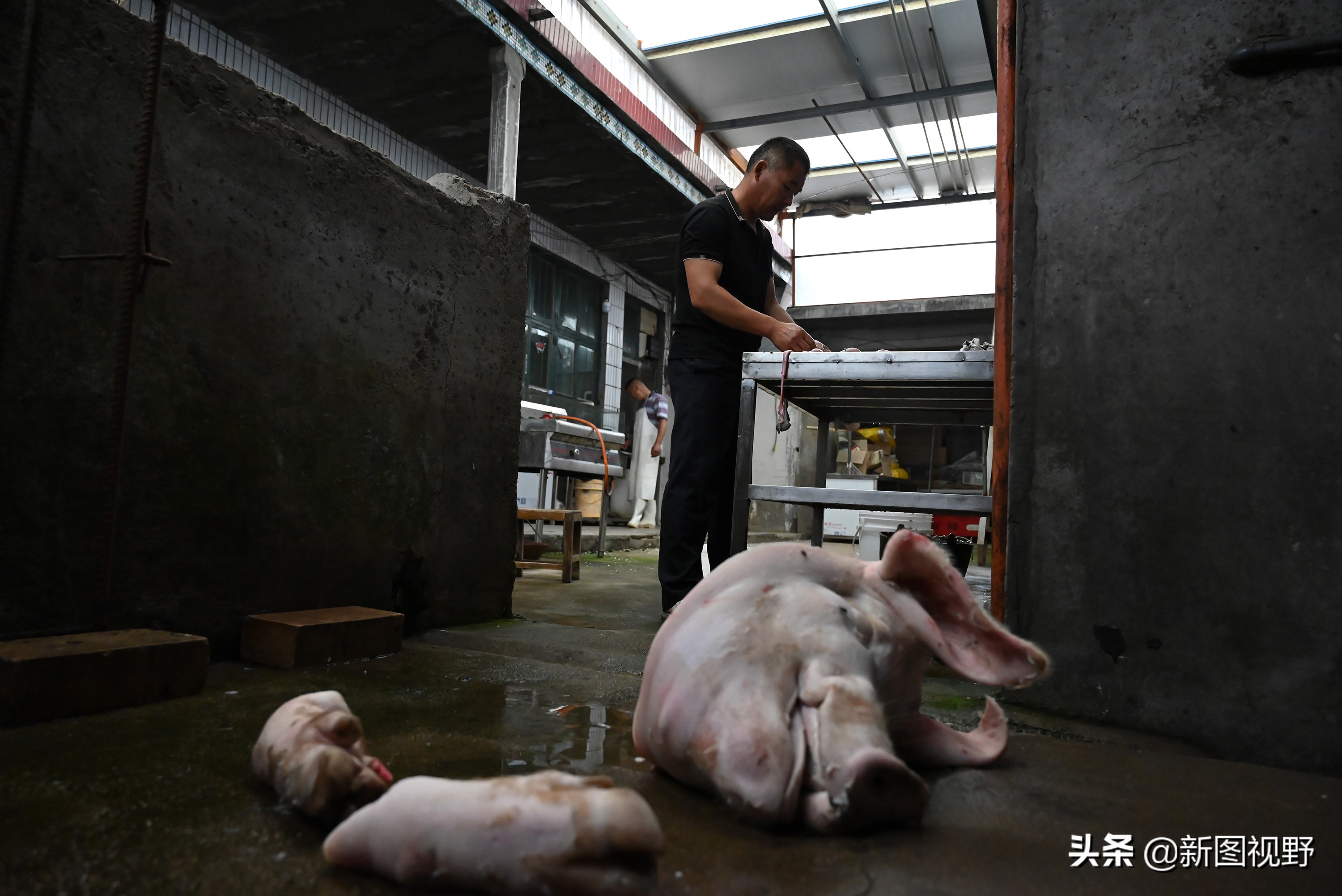 猪价下跌，夫妻“烤全猪”停烤2年后开烤，200斤烤肉出炉就卖光