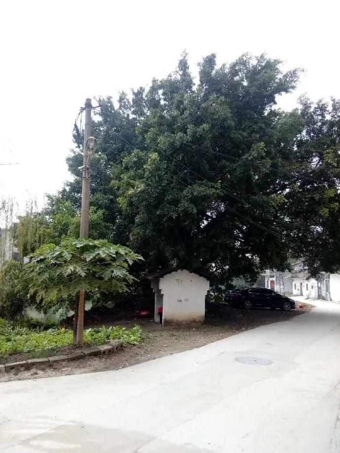 春社和立夏,春社祭祀庆典