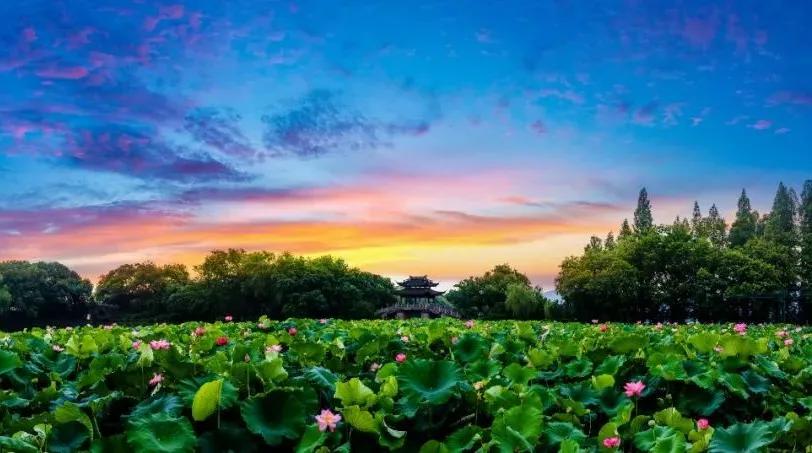 闲时立黄昏的唯美诗词,最美的诗词闲时与你立黄昏